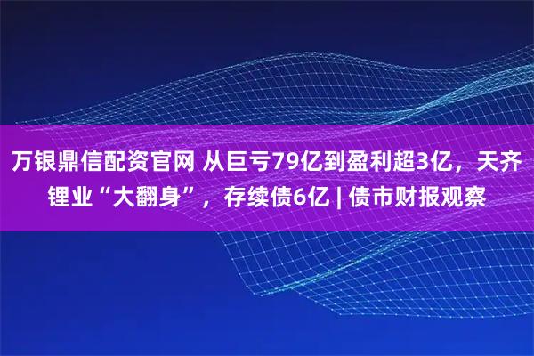 万银鼎信配资官网 从巨亏79亿到盈利超3亿，天齐锂业“大翻身”，存续债6亿 | 债市财报观察