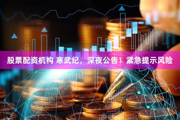 股票配资机构 寒武纪，深夜公告！紧急提示风险